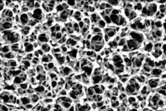 Selection Of Pore Forming Materials For Lightweight Diatomite Insulation Bricks